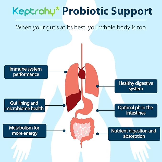 Probiotics for Women &amp Men 300 Billion CFU Probiotics from 12 Strains + Organic Prebiotics Blend for Daily Digestive Immune Gut Bloating Gut Health for Women &amp Men Shelf Stable - 60 Caps