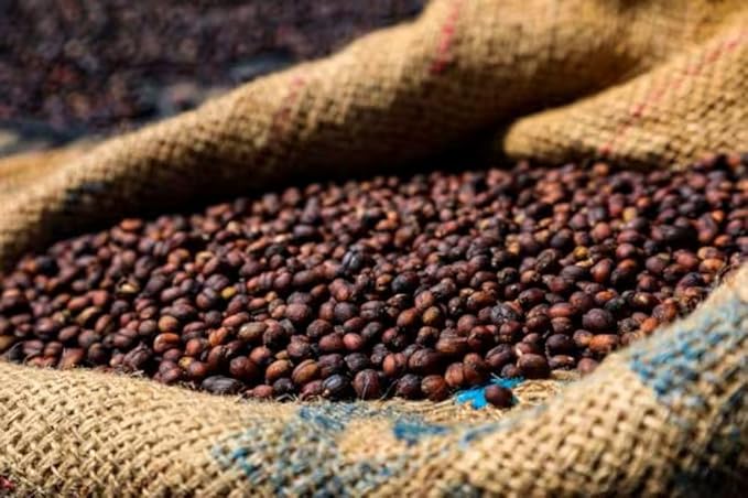 Super High Caffeine | Double Caffeine Organic | Strong Robusta Coffee | Fresh Roasted | Whole Bean | 1 LB 1-Pack