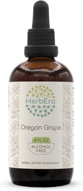 HerbEra Oregon Grape B120 Alcohol-Free Herbal Extract Tincture Super-Concentrated Responsibly farmed Oregon Grape (Mahonia spp.) (4 fl oz)