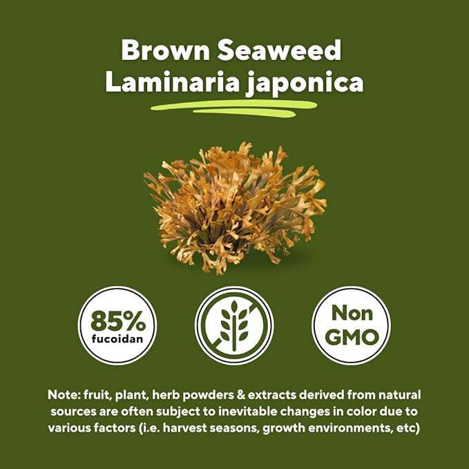 Vitapia Pure Fucoidan 85% Brown Seaweed Extract for Immune Strong Cellular Health Digestive Support - 1000mg Fucoidan Per Serving - 120 Veggie Capsules Non-GMO Gluten-Free Vegan-Friendly
