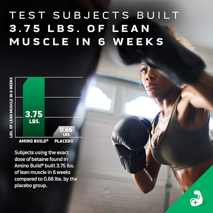 MuscleTech Creatine Monohydrate Powder Cell-Tech Creatine Powder | Post Workout Recovery Drink &amp BCAA Amino Acids + Electrolyte Powder Amino Build 7g of BCAAs + Electrolytes