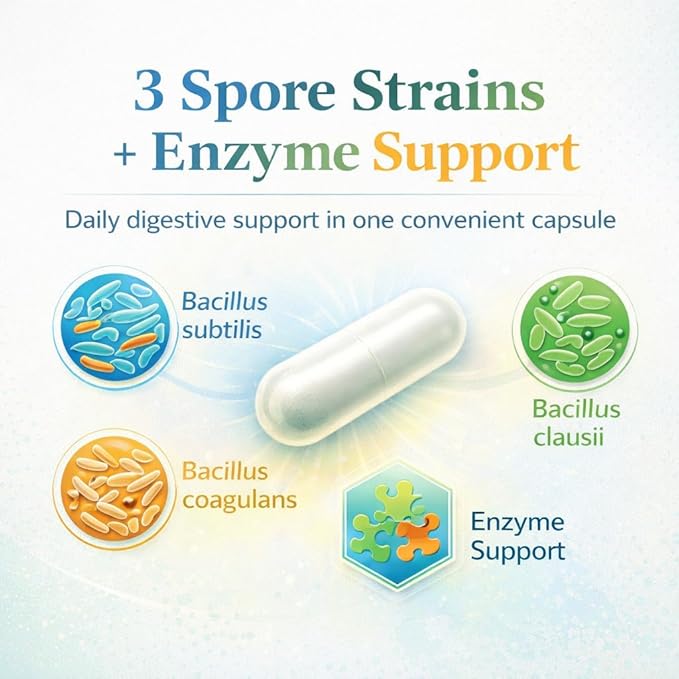 Bacillus B3 Spore-Based Probiotic + Enzymes for Gut Health &amp Microbiome Support Shelf-Stable Daily Probiotic with Bacillus Coagulans Bacillus Subtilis &amp Bacillus Clausii 60 Capsules