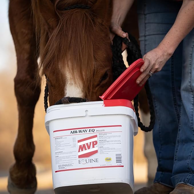 MVP Air-Way EQ Supports Healthy Lung Function and Seasonal Allergy Support in Horses 5lb - 40 Servings