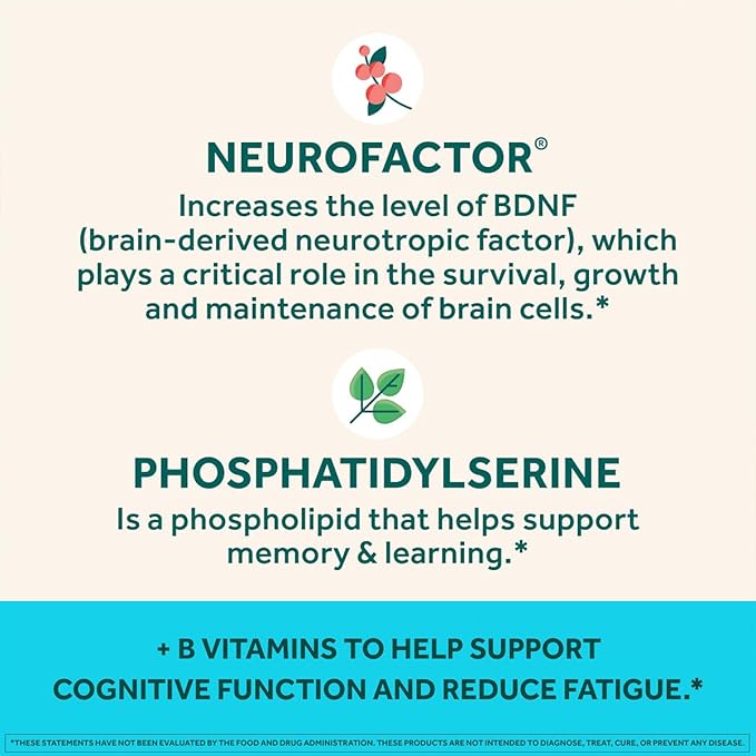NEURIVA Plus Brain Supplement for Memory Focus &amp Concentration + Cognitive Function with Nootropics Phosphatidylserine and Neurofactor VIT B6 &amp B12 Strawberry Flavor 50 Gummies (3 Pack)