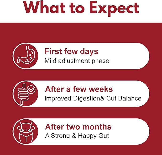 Biofilm Disruptor UTI Defense Gut Detox Cleanse W/Lipase &amp Glucoamylase Defense &amp Buster for Gut &amp Immune Health Enzymes for Stomach Digestion - 60 Vegan Capsules