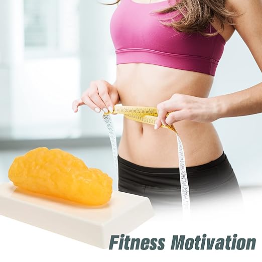 RONTEN 1 lb Human Fat Anatomical Model A True Replica of Human Body Fat Perfect for Nutritionists Fitness Enthusiasts to Display