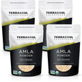 Terrasoul Superfoods Organic Amla Powder (Amalaki) 4 Lbs - Rich in Antioxidant Vitamin C | Supports Immunity