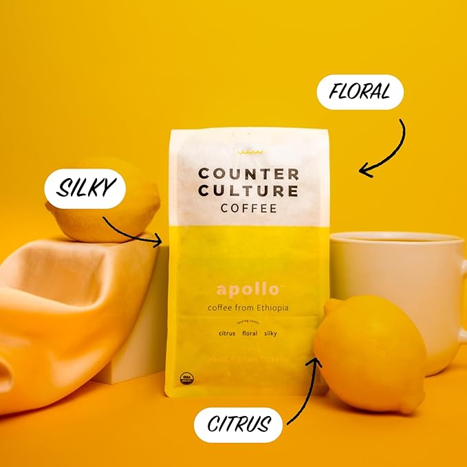 Counter Culture - Roast Packs (2 Bags Light Roast)