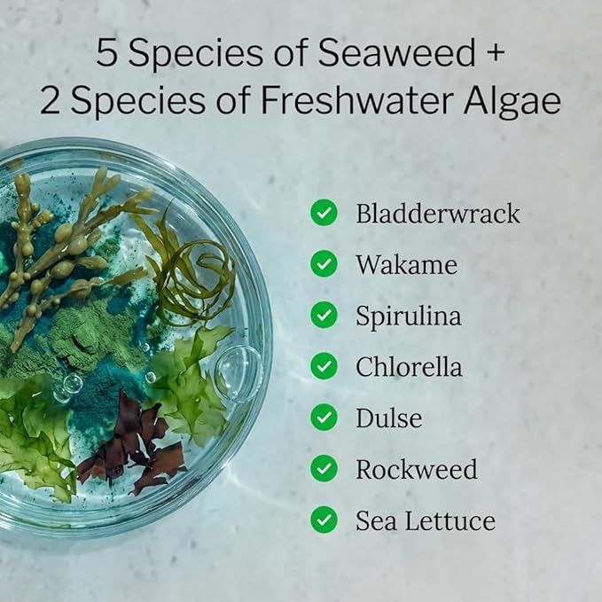 Sea of Greens – Organic Seaweed &amp Algae Superfood Blend – Spirulina Chlorella Bladderwrack Wakame – Natural Iodine &amp Fucoidan – Oxalate-Free – 180 Vegetable Capsules - 2 Pack