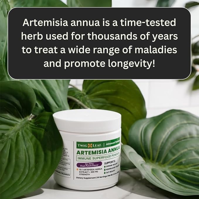 Artemisia Annua Sweet Wormwood Herbal Powder | Leaf Extract Brain Support | Artemisia Supplement | Sweet Wormwood Organic Extract | Non-GMO Vegan Gluten-Free | 30 Servings/8.5 Oz (240g)