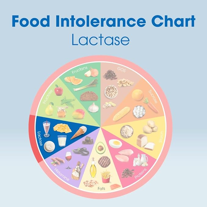 Intoleran Lactase 20000 Digestive Enzymes - 50 Scored Tablets | Supplement for Lactose Intolerance | Lactase Enzyme That Helps Digest Dairy &amp Lactose | Highest Dosed &amp Fast Acting | Pure &amp