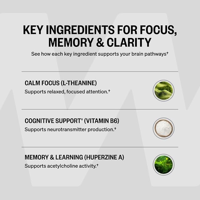 ONNIT Alpha Brain Nootropic Brain Supplement for Focus Memory Mental Clarity Cognitive Support with L-Theanine and Vitamin B6 60 Count Capsules