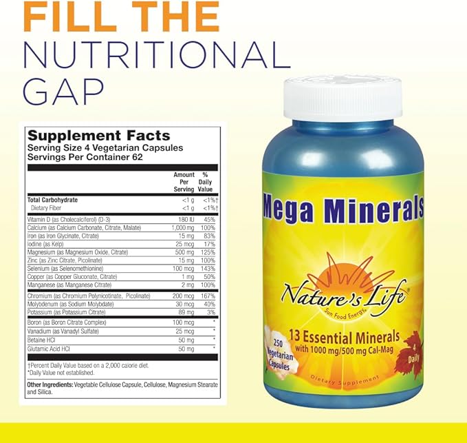 Nature's Life Mega Minerals Complex | Complete Multi Mineral + Vitamin D Supplement | 250 Vegetarian Capsules