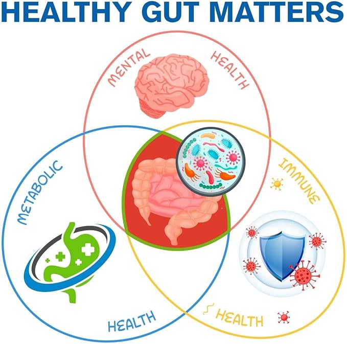 Well of Life Biome Renew 4 - All-in-one Digestive &amp Gut Health Formula - w/Digestive Enzymes Prebiotics &amp Probiotics for Healthy Gut Biome for Men and Women - Supports Gut Lining Gas &amp Bl