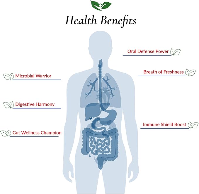 Foods For Gut Bifido Formula 320 Billion cfu's | Made in USA | Direct from Manufacturer | No Third-Party Storage | Digestive &amp Immune Support | May Help Leaky Gut Repair | 60 Grams (2.11 Oz)