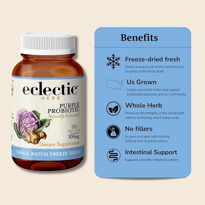 Eclectic Herb - Purple Probiotic Capsules | Digestive + Intestinal Support | Freeze Dried Concentrated Herbal Supplement | Vegan Non-GMO Gluten Free (90 CT | 300 mg)