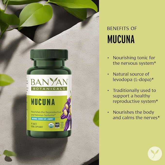 Banyan Botanicals Organic Mucuna Pruriens – Physical Vitality &amp Neuromuscular Support – Natural Source of L-Dopa for Reproductive Health &amp Motor Precision – 90 Tablets – USDA Organic