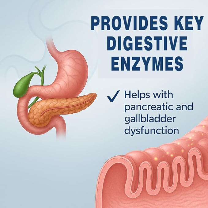 Lunza Pancreatin Enzyme Supplement – 1000mg Full Strength Digestive Support for Pancreatitis Gallbladder Surgery Recovery – Protease Amylase Lipase Formula – 100 Capsules