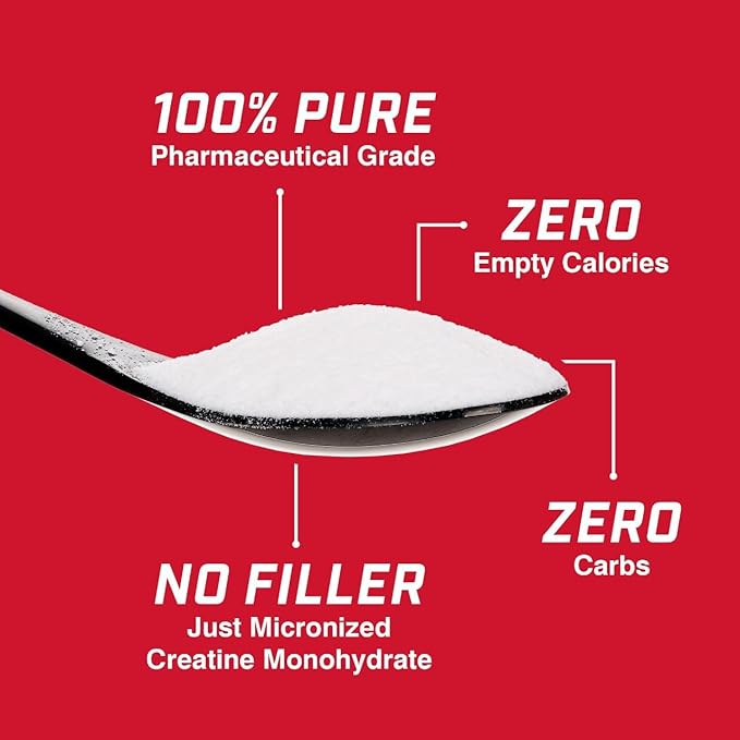 ProLab Nutrition Creatine Monohydrate Micronized Powder 1000G Pure Creatine for Muscle Strength Power &amp Endurance Fast Absorbing Unflavored 5000mg Per Serv (5g) (200 Servings)