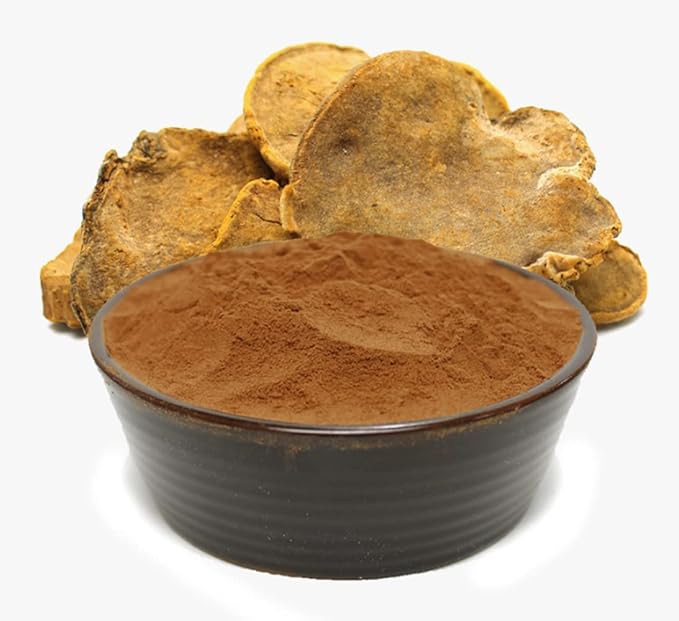 Organic Natural Pure Phellinus linteus Extract Powder-7.05 Ounce (200g)