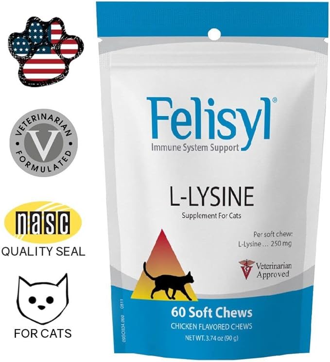 L-Lysine Soft Chews for Cats (60 Soft Chews) – Supports Immune Respiratory and Eye Health. Eases Sneezing Runny Nose and Watery Eyes. Salmon Flavor - (6 Pack)