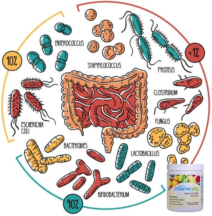 Xooma Xiome365 Gut Health Drink Mix – Organic Prebiotic Fiber + Polyphenols + B. Coagulans | Supports Gut Lining &amp Microbiome | No Sugar Dairy-Free Great Taste | Daily Gut Support Powder