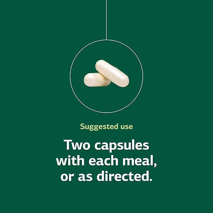 Standard Process Lact-ENZ Enzyme Digestion Support - Gluten-Free Non-Dairy &amp Non-Soy - Probiotic Digestive Care - 90 Capsules