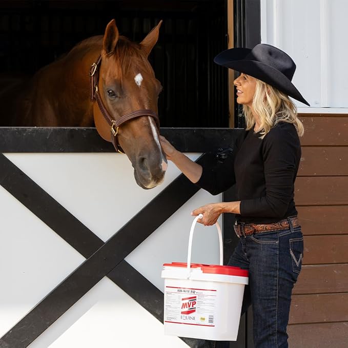 MVP Air-Way EQ Supports Healthy Lung Function and Seasonal Allergy Support in Horses 5lb - 40 Servings