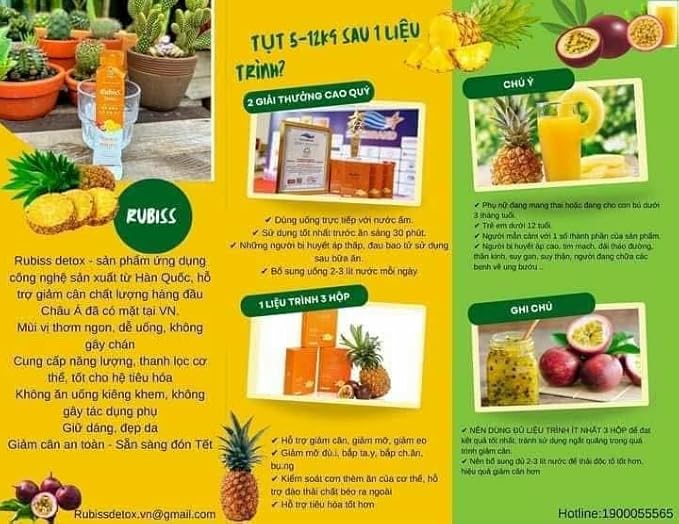 RUBISS Detox Nuoc Ep Chanh Day Dua - Fruits Juice Detox- Passionfruit Pineapple - 12packs x 20ml / 1 Boxes