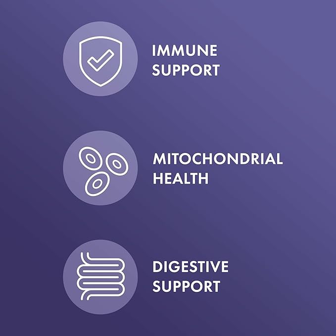 Dr. Mercola Full Spectrum Enzymes - 22 Different Enzymes - Supports Digestive &amp Immune Health - Helps Digest Carbohydrates Fats &amp Proteins - Non-GMO Gluten-Free &amp Soy-Free - 90 Capsules
