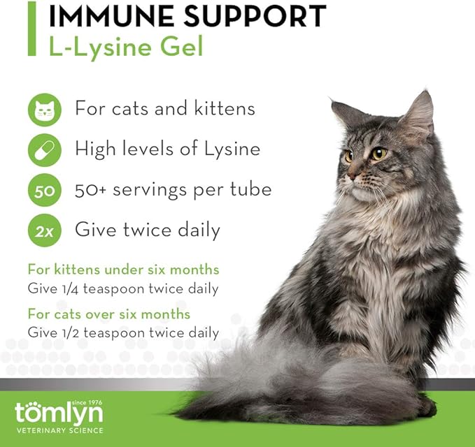 Tomlyn Immune Support Daily L-Lysine Supplement: Maple-Flavored Lysine Gel for Cats and Kittens 5oz