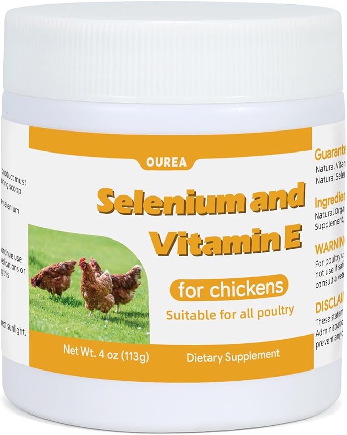 Selenium and Vitamin E Powder for Chickens Selenium for Chickens Immune System Muscle Support &amp Prevents Improve Wry Neck Selenium Vitamin E Supplements Suitable for All Poultry Chicken &a