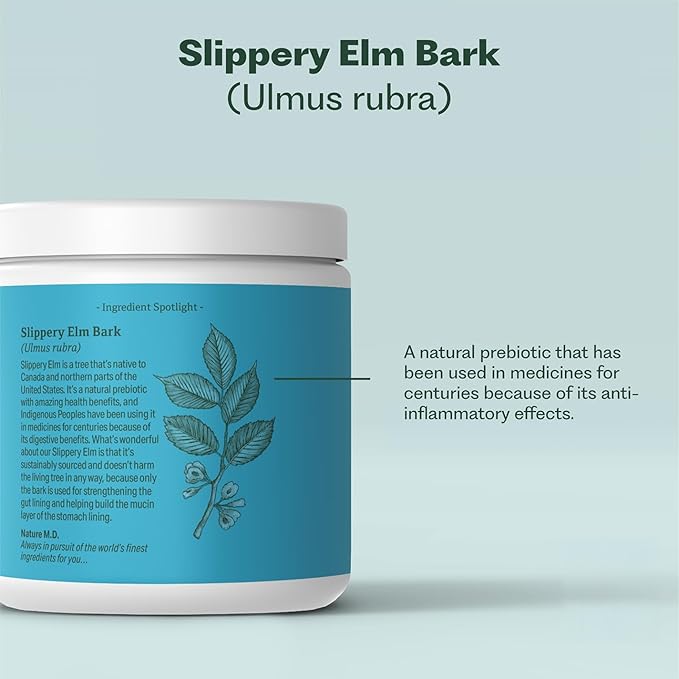 GutConnect 365 Gut Health Superfood Powder | Formulated With Slippery Elm Bark &amp L Glutamine | Vegan Certified | Allergen Free | Non-GMO | Soy Free | Made in the USA | 30 Servings – Vanilla Cinnam