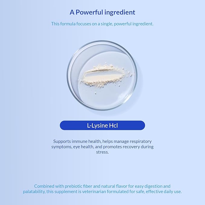 L-Lysine Supplement for Cats 900mg/scoop - Cat Supplement for Sneezing and Runny Nose Cold Immune Support Eye Function and Respiratory Health – Lysine Powder