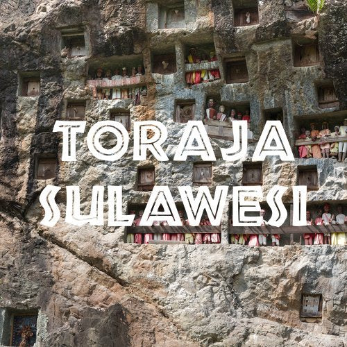Toraja Sulawesi White Eagle Coffee Fair Trade Whole Bean Fresh Roasted 16-ounce