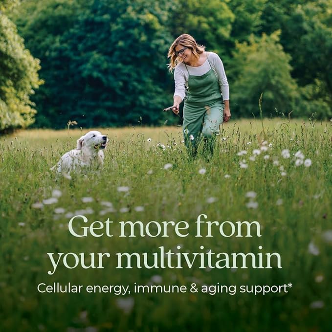 New Chapter Women’s Multivitamin 40+ extra B6 &amp B12 Biotin for Hair Growth D3 Vit C Zinc for Immune &amp Stress Support Gentle on an Empty Stomach One Daily Non-GMO Gluten-Free 48 Table