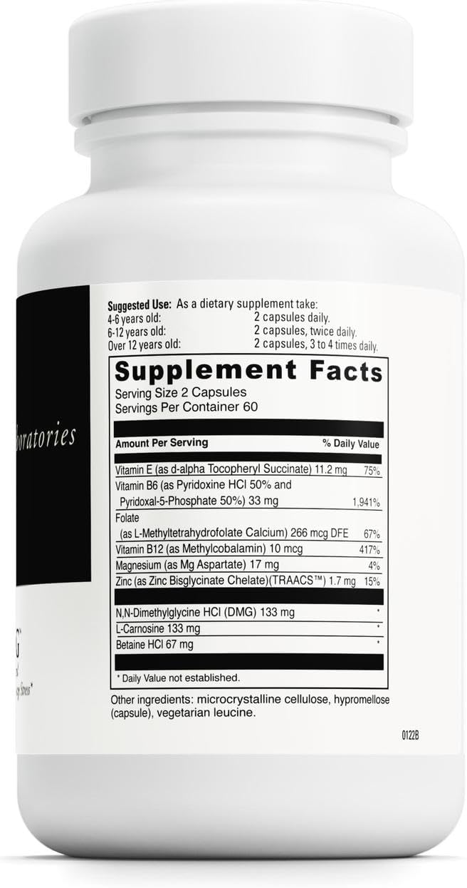 DAVINCI Labs Behavior Balance-DMG - Dietary Supplement to Support Clarity Social Skills Stress Coping and Immune Health* - with Vitamin E B6 Zinc and More - Gluten-Free - 120 Vegetarian Capsules