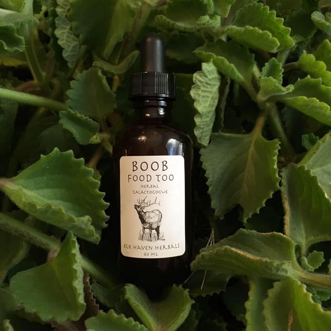Boob Food Too- 100% Pure Organic Torbangun Extract for Breastfeeding Moms. Grown and Made in USA by us. Breastfeeding Supplement to Increase Breast Milk Supply No preservatives. No Other Herbs.