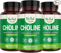 Nested Naturals Choline Bitartrate 500mg | High Potency Choline Supplements | Supports Cognitive Performance &amp Liver Function | 100% Vegan &amp Non-GMO | (3-Pack)