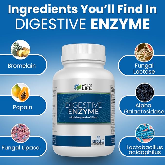 Well of Life Digestive Enzyme: 700mg 60 Vegetarian Capsules Enhance Digestive Health Nutrient Absorption &amp Gut Health Lactobacillus Bromelain Papain &amp More All-Natural Vegan Made in U
