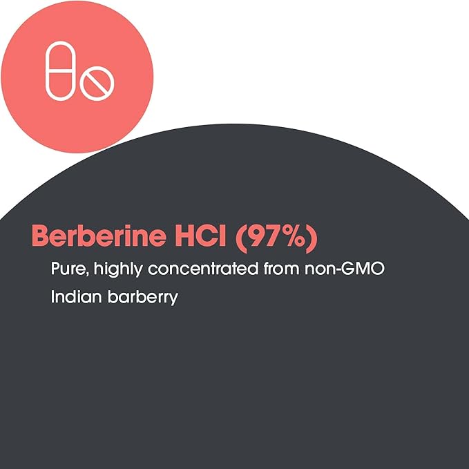 Allergy Research Group Berberine 500mg Supplement - Multi-Faceted Metabolic Support Supports Healthy Cholesterol Indian Barberry Root Hypoallergenic Vegetarian Capsules - 90 Count