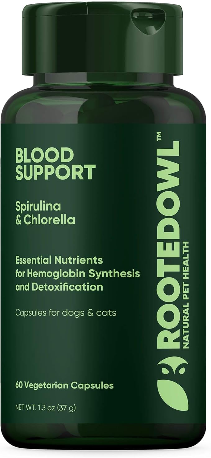 Rooted Owl Blood Support - Immunity Recovery and Iron Supplement for Dogs &amp Cats - Anemia Support with Spirulina and Chlorella - 60/ct Vegan Capsules