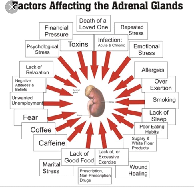 Miracle Adrenal Essence Doctor's Choice - Adratogenic Herbal &amp Vitamins Supplement