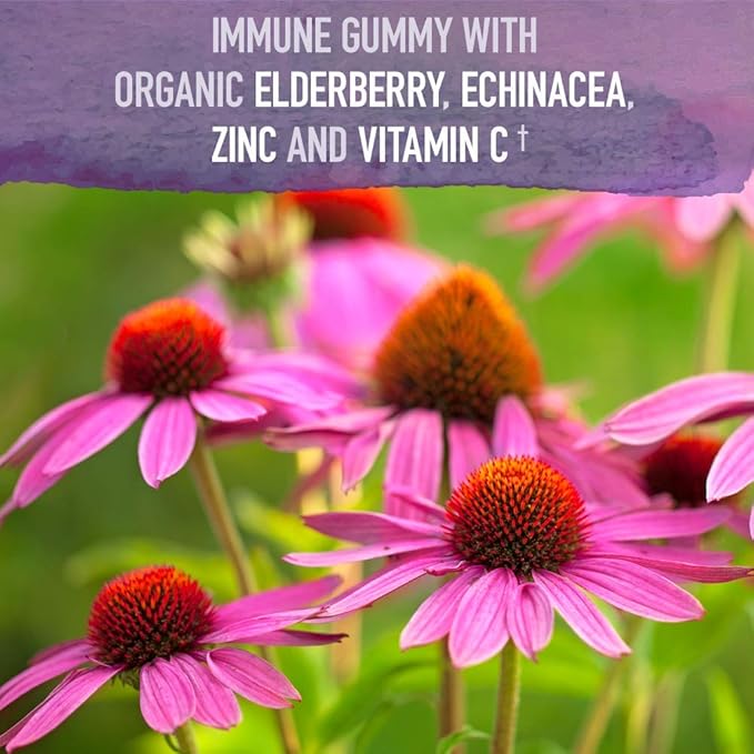 Garden of Life Immune Support Bundle: Organics Elderberry Echinacea Zinc Gummies 120 Count + Dr Formulated Kids Probiotics Berry Cherry Shelf Stable 30ct + Kids Vitamin D3 Orange Gummies 60ct