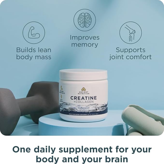 Ancient Nutrition Creatine + Collagen – Muscle Strength Lean Body Mass Joint Comfort &amp Cognitive Support – Includes 5g Creatine Monohydrate for Women 30 Servings