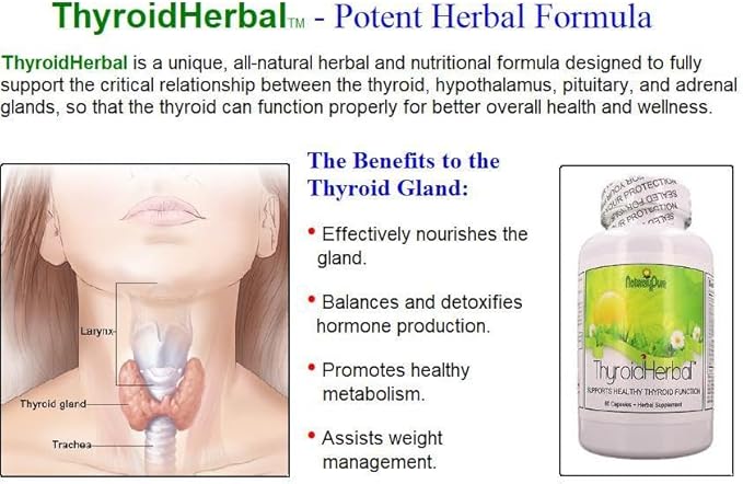 Thyroid Support for Hyper and hypothyroid Conditions with L-Tyrosine Kelp Ashwagandha and Bladderwrack. Potent Thyroid Support for Women and Men. Made in The USA
