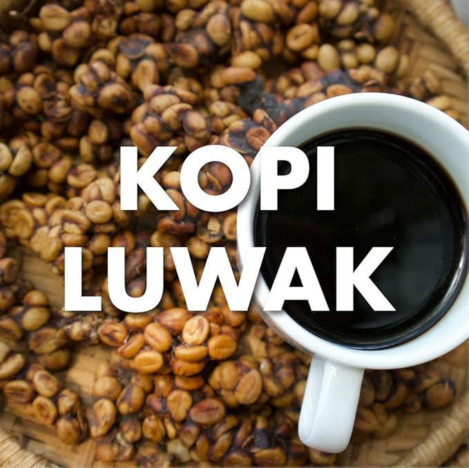 Kopi Luwak Coffee Sustainably Sourced World's Most Expensive Coffee Whole Bean Fresh Roasted 16-ounces