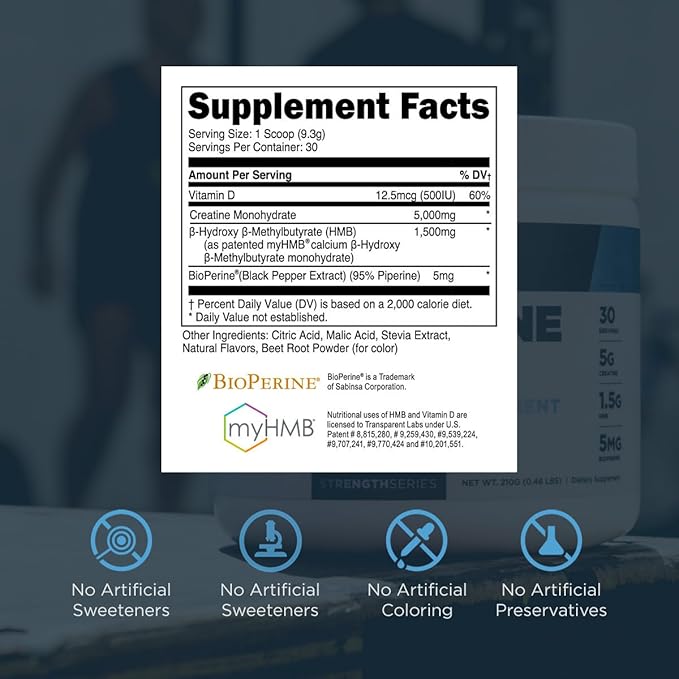 Transparent Labs Creatine HMB - Creatine Monohydrate Powder with HMB for Muscle Growth Increased Strength Enhanced Energy Output and Improved Athletic Performance - 30 Servings Watermelon