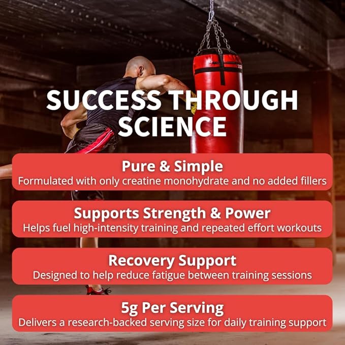 Treigning Lab Creatine Monohydrate Micronized Powder 500g Muscle Building Supplement for Strength Recovery &amp Performance Unflavored 5g per Serving 100 Servings