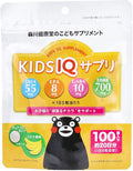 Kids IQ Supplement